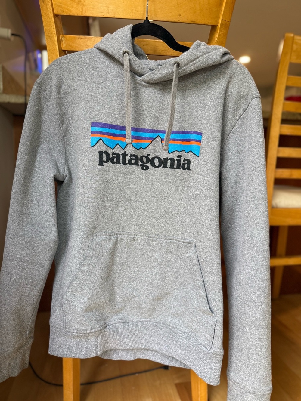Patagonia Gray Hoodie with Multicolor Mountain Stripe size M